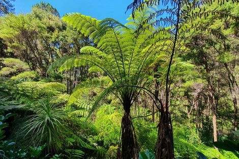 Photo of property in 46 Schoolhouse Bay Road, Kawau Island, 0920