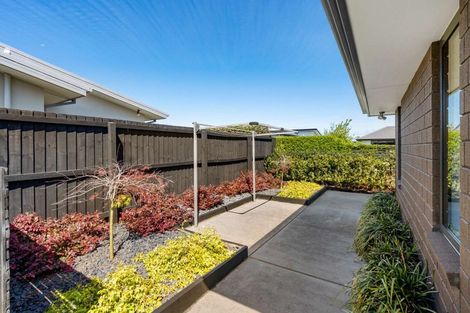 Photo of property in 110 Metehau Street, Marshland, Christchurch, 8083