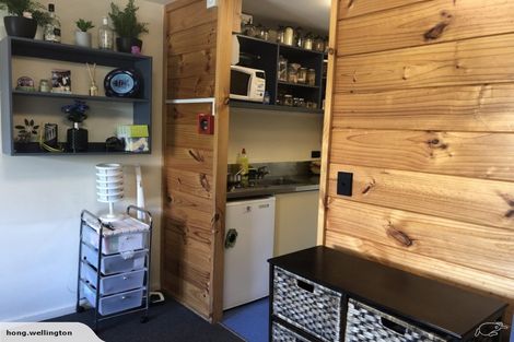 Photo of property in Basin Reserve Complex, 11/4 Sussex Street, Mount Cook, Wellington, 6021