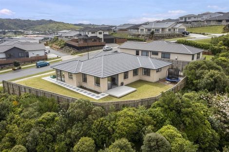 Photo of property in 174 John Burke Drive, Aotea, Porirua, 5024