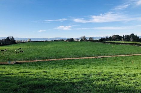 Photo of property in 486 Okoroire Road, Okoroire, Tirau, 3485