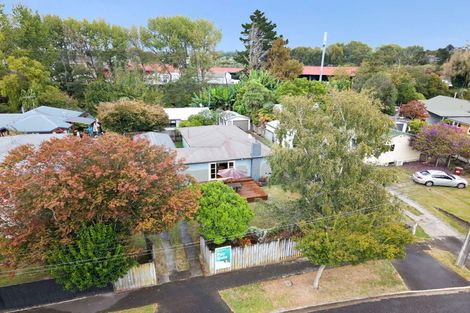 Photo of property in 145 Rimu Street, Maeroa, Hamilton, 3200