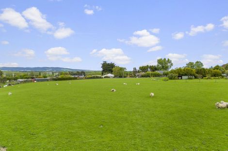 Photo of property in 37 View Street, Stirling, 9231