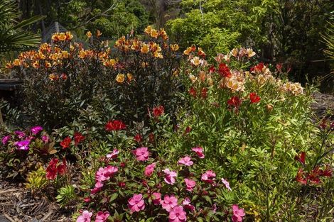 Photo of property in 31 Eagles Way, Cable Bay, 0420