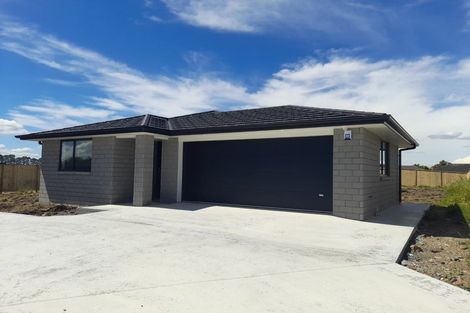 Photo of property in 30 Chardonnay Way, Te Kauwhata, 3710