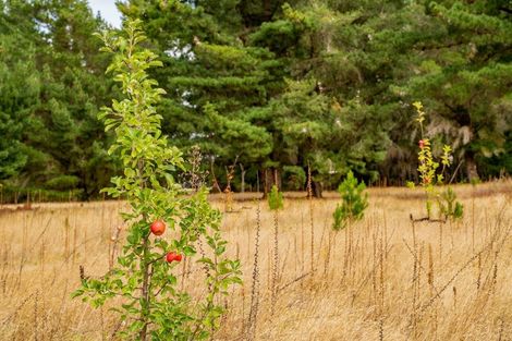 Photo of property in 411a Maori Point Road, Tarras, Cromwell, 9383