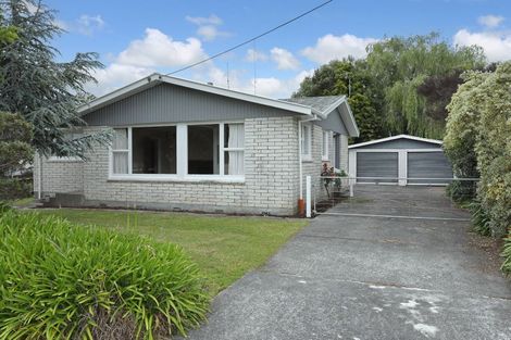 Photo of property in 92a Alexandra Street, Marton, 4710