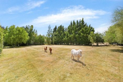 Photo of property in 1234 Courtenay Road, Kirwee, Darfield, 7571