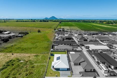 Photo of property in 16 Kotare Drive, Coastlands, Whakatane, 3120