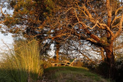 Photo of property in 24 Wisteria Place, Flagstaff, Hamilton, 3210