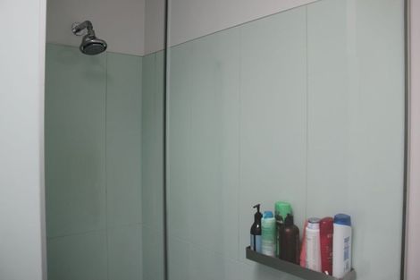 Photo of property in 45 Austin Street, Mount Victoria, Wellington, 6011