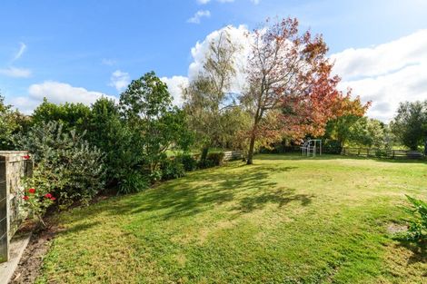 Photo of property in 8 Almond Grove, Feilding, 4702