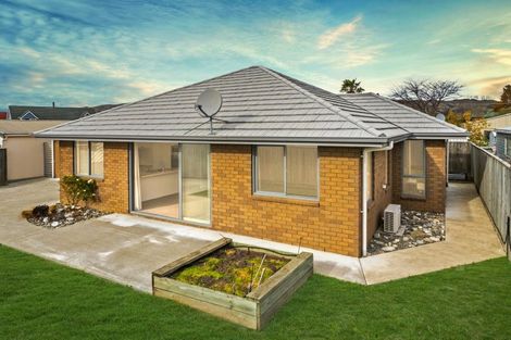 Photo of property in 8a Manson Street, Redwoodtown, Blenheim, 7201