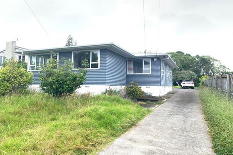Photo of property in 60 Webster Avenue, Mount Roskill, Auckland, 1041
