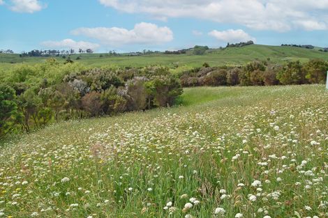 Photo of property in 17 Ranganui Road, Kaiwaka, 0573