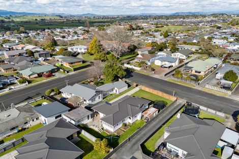 Photo of property in 279 Mandeno Street, Te Awamutu, 3800