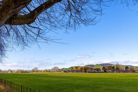 Photo of property in 123 Scott Street, Leamington, Cambridge, 3432