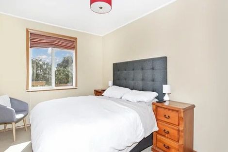 Photo of property in 17 Court Crescent, Panmure, Auckland, 1072