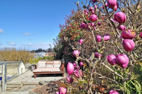 Photo of property in 58 Stephen Street, Halfway Bush, Dunedin, 9010