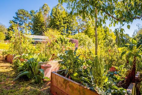 Photo of property in 146 Horseshoe Bush Road, Dairy Flat, Albany, 0794