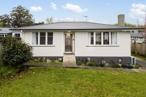 Photo of property in 85 Princes Street, Pukekohe, 2120