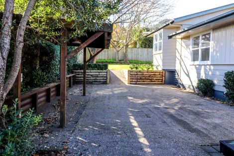 Photo of property in 208 Waikiekie Road, Thames, 3500