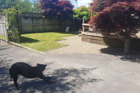 Photo of property in 5 Torrington Avenue, Frankton, Hamilton, 3204