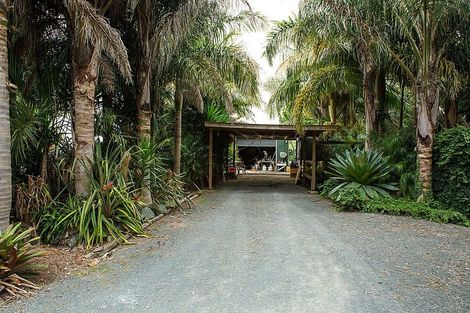 Photo of property in 401 Kumi Road, Awanui, 0486