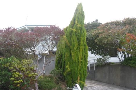 Photo of property in 58 Collier Avenue, Karori, Wellington, 6012