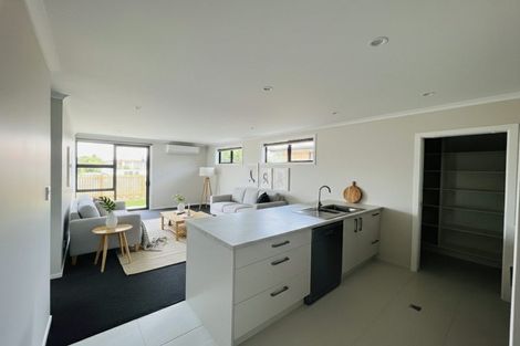 Photo of property in 1152a Heaphy Terrace, Fairfield, Hamilton, 3214