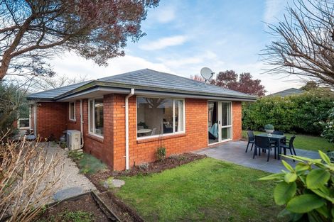 Photo of property in 3 Nina Lane, Somerfield, Christchurch, 8024