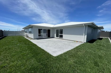 Photo of property in 51 Wai Whatu Street, Meeanee, Napier, 4110