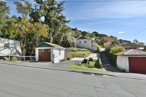Photo of property in 110 Bedford Street, Saint Clair, Dunedin, 9012