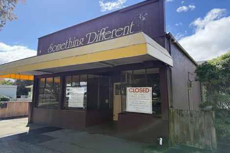 Photo of property in 117 Victoria Avenue, Hokowhitu, Palmerston North, 4410