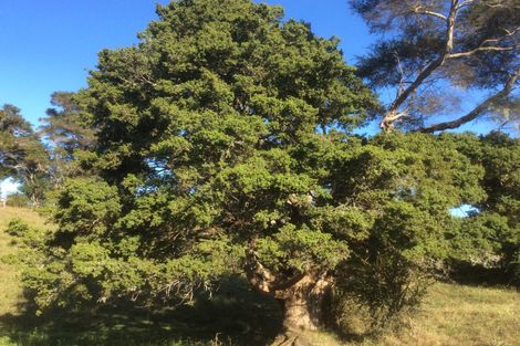 Photo of property in 88 Caie Road, Mangatawhiri, 2471