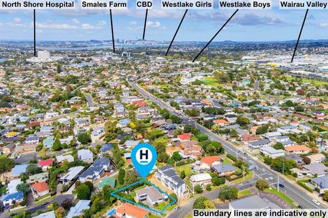 Photo of property in 46 Seine Road, Forrest Hill, Auckland, 0620