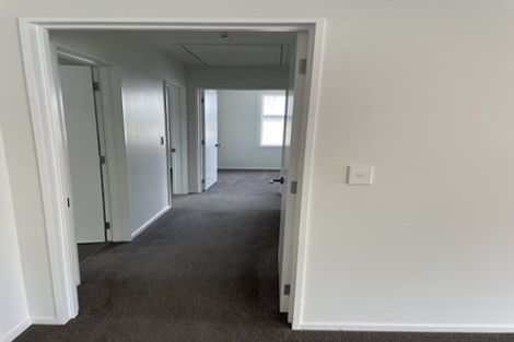 Photo of property in 65 Grange Street, Hillsborough, Christchurch, 8022