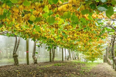 Photo of property in 215 Ongare Point Road, Tahawai, 3170