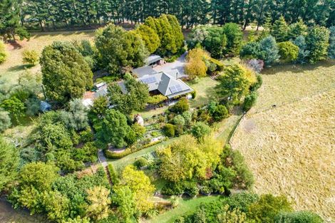Photo of property in 573 Whakapirau Road, Maraekakaho, Hastings, 4174