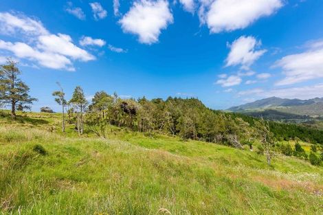 Photo of property in 183 Koutu Loop Road, Whirinaki, 0473