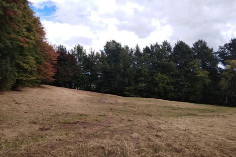 Photo of property in 9 Slowater Lane, Puhoi, Warkworth, 0994