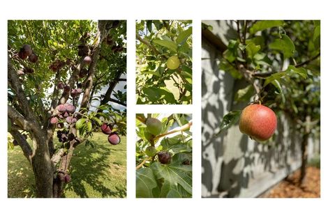 Photo of property in 306 Omokoroa Road, Omokoroa, 3114