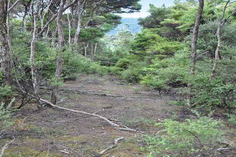 Photo of property in 8 Lavinia Place, Kawau Island, 0920