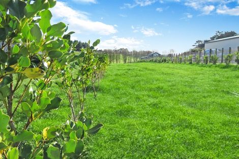 Photo of property in 17c Teal Avenue, Feilding, 4775