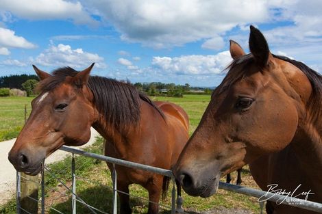 Photo of property in 15 Pairatahi Road, Kaingaroa, Kaitaia, 0483