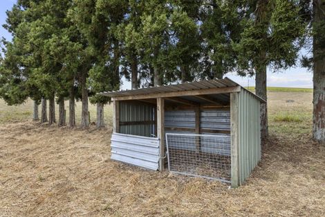 Photo of property in 320 Bell Road, Pirongia, Te Awamutu, 3876