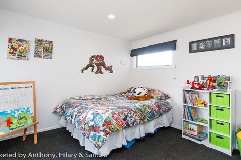 Photo of property in 17 Lorenzo Place, Kelvin Grove, Palmerston North, 4414