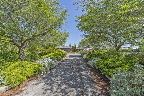 Photo of property in 26 Cridges Road, Darfield, 7510