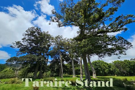 Photo of property in 1296 Wekaweka Road, Waimamaku, Kaikohe, 0473