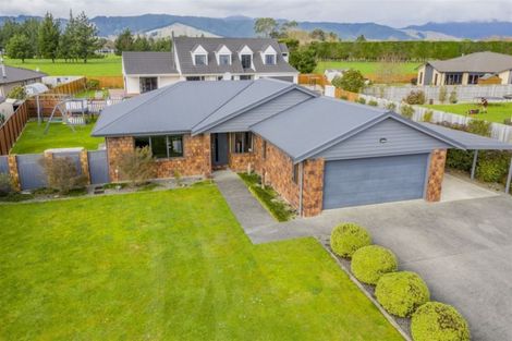 Photo of property in 16 Okarito Avenue, Levin, 5510